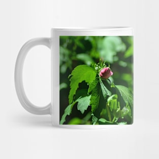 Roses Budding Mug